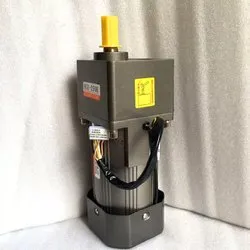 Gearbox With Motor 220VAC 200W 6GU Single phase regulated speed